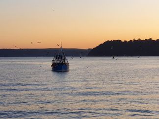 MC 19 083 - bringing home the catch, plymouth sound - sunset on the se