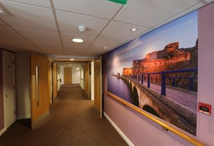 Large wall murals 