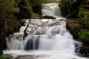 Landscape photography | waterfall | woodland | framed photo prints | picture framer Bristol